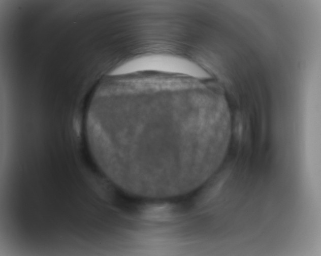 X0000088720206200706282110