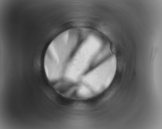 X0000088720207200706282110