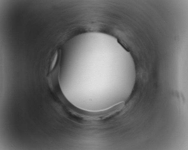 X0000088720209200706282110