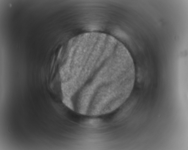 X0000088720210200706282110