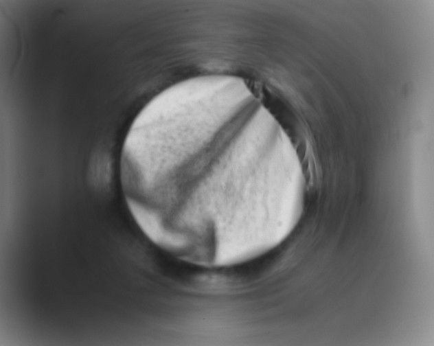 X0000088720211200706282110