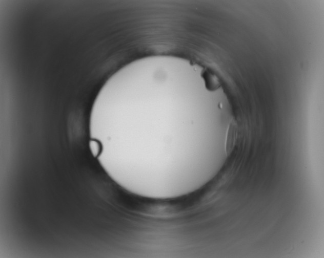 X0000088720212200706282110