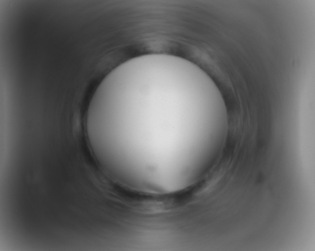 X0000088720213200706282110