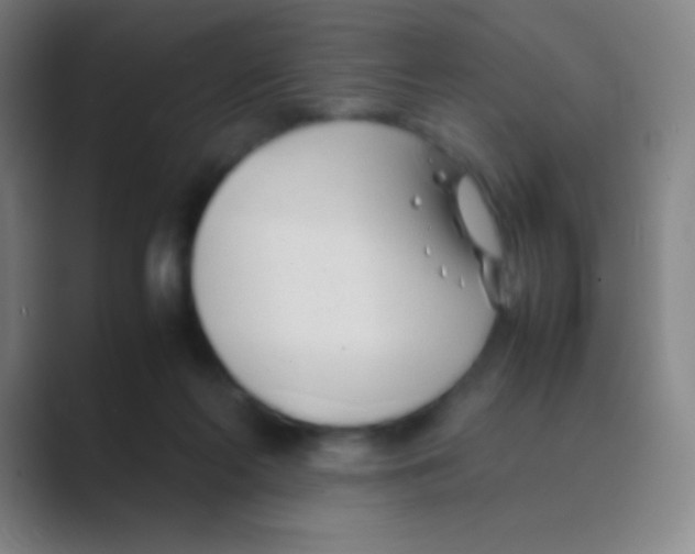 X0000088720214200706282110