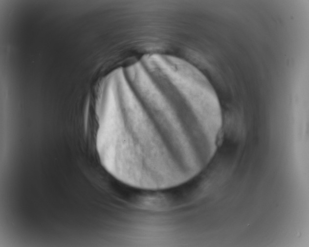 X0000088720215200706282110