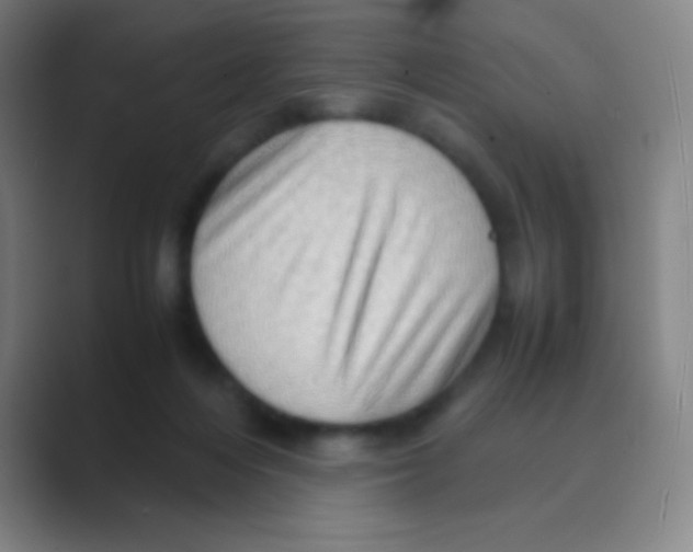 X0000088720216200706282110