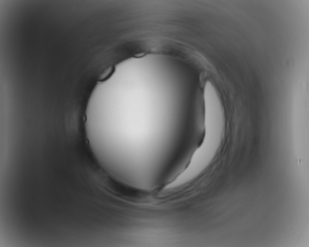 X0000088720217200706282110