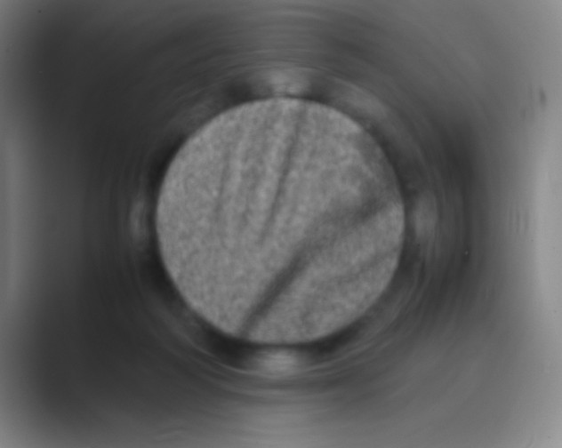 X0000088720218200706282110