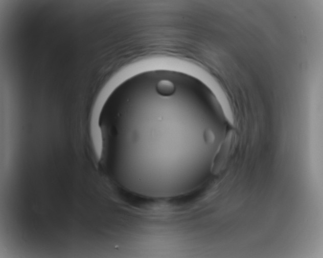 X0000088720219200706282110