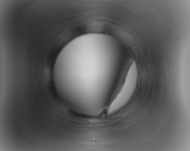 X0000088720224200706282110