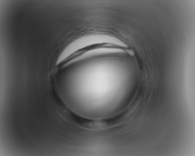 X0000088720225200706282110