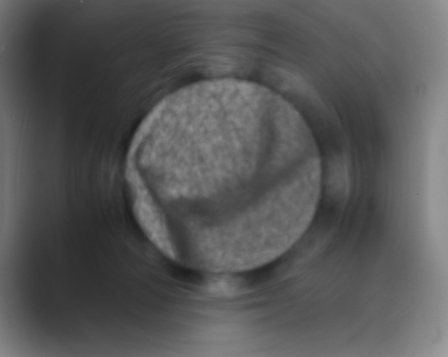 X0000088720226200706282110