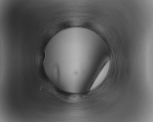 X0000088720227200706282110