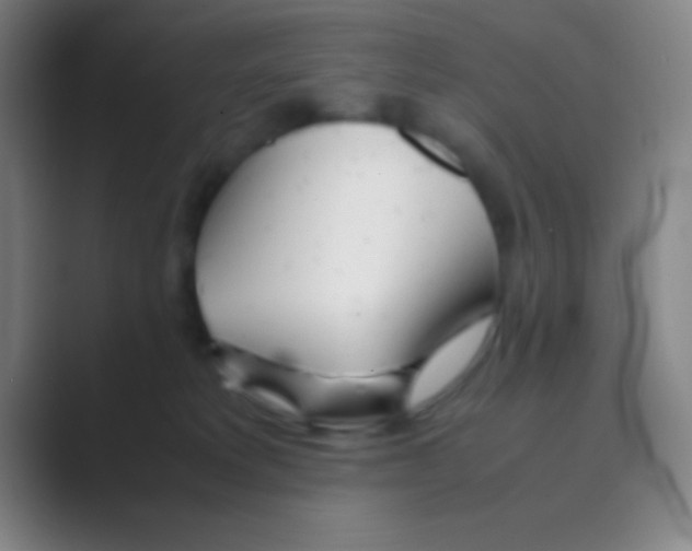 X0000088720229200706282110