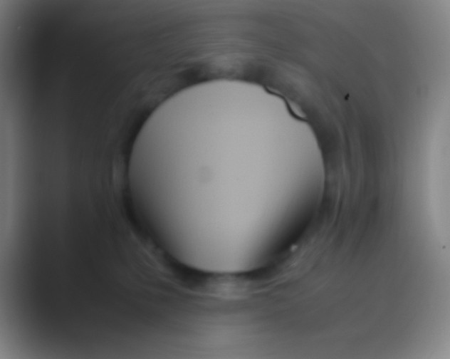 X0000088720231200706282110