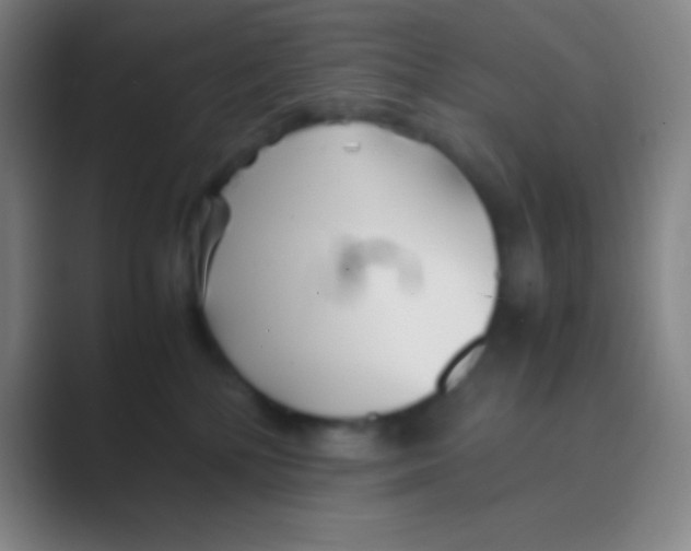 X0000088720232200706282110