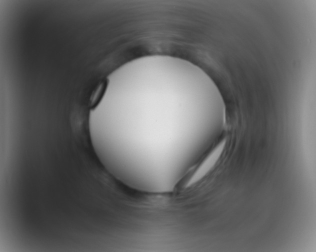 X0000088720233200706282110