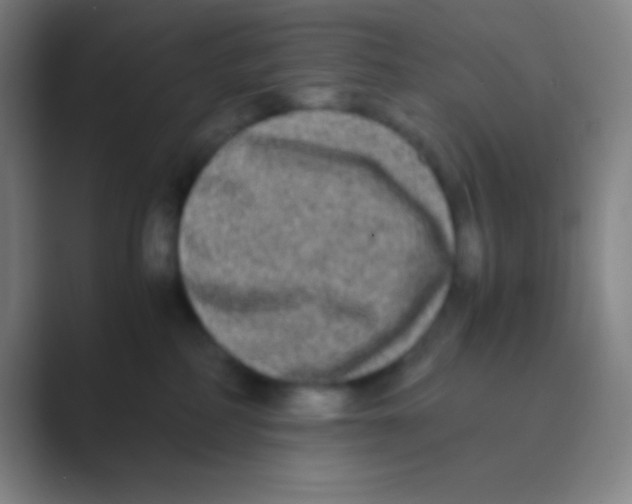 X0000088720234200706282110