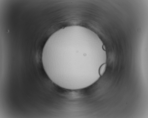 X0000088720236200706282110