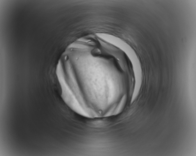 X0000088720237200706282110