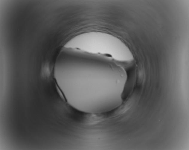 X0000088720239200706282110