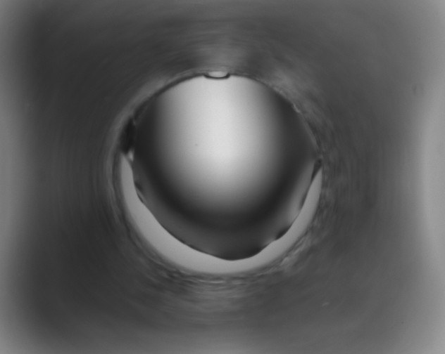 X0000088720244200706282109