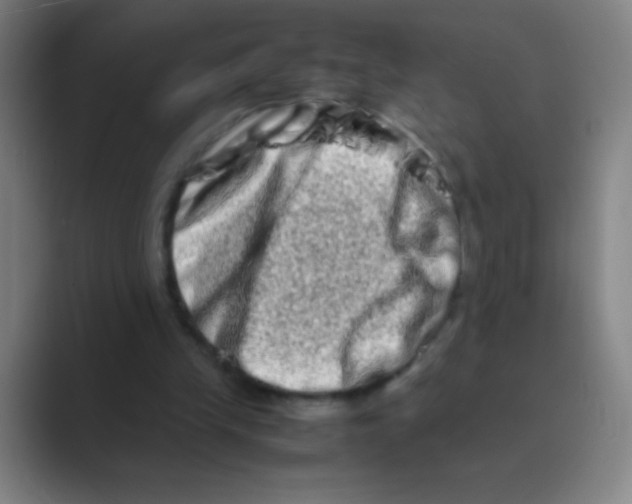 X0000088720245200706282109