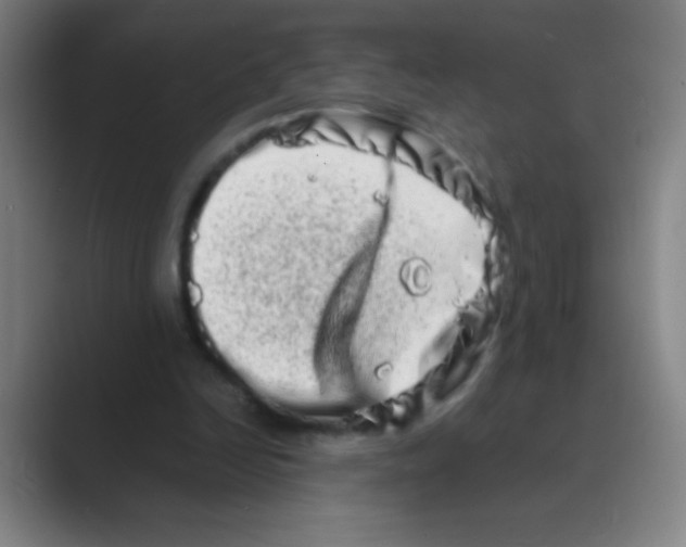 X0000088720246200706282109