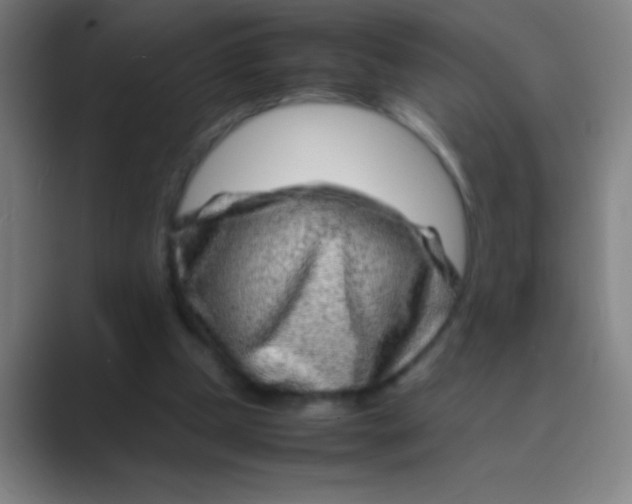 X0000088720249200706282109