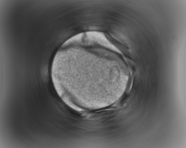 X0000088720251200706282109