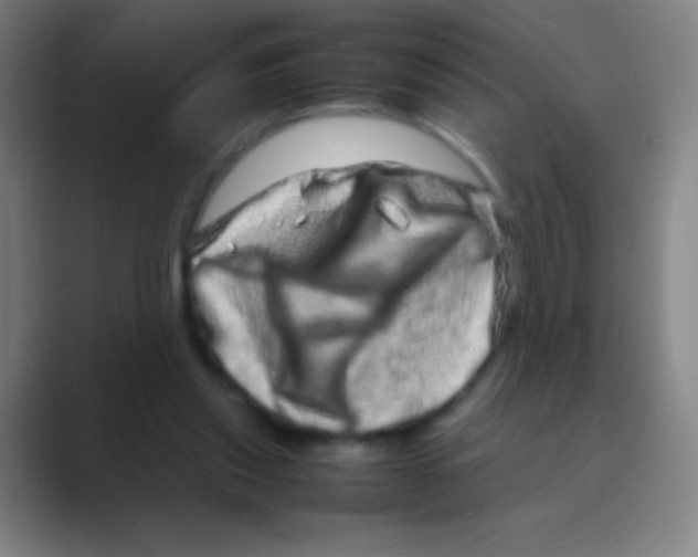 X0000088720253200706282109