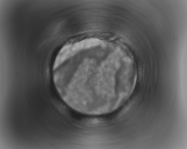 X0000088720254200706282109