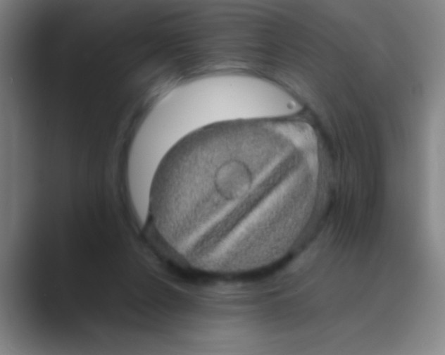 X0000088720256200706282109