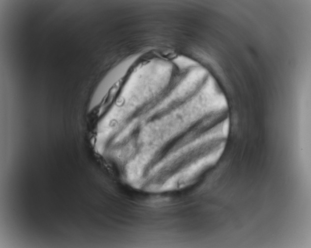 X0000088720257200706282109