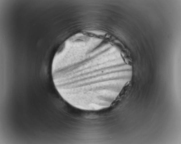 X0000088720258200706282109