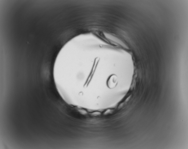 X0000088720259200706282109