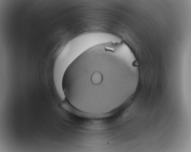 X0000088720260200706282109