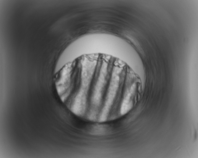 X0000088720261200706282109