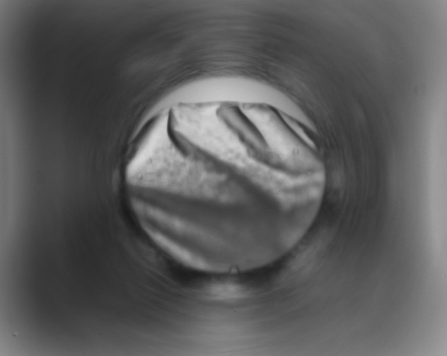 X0000088720262200706282109