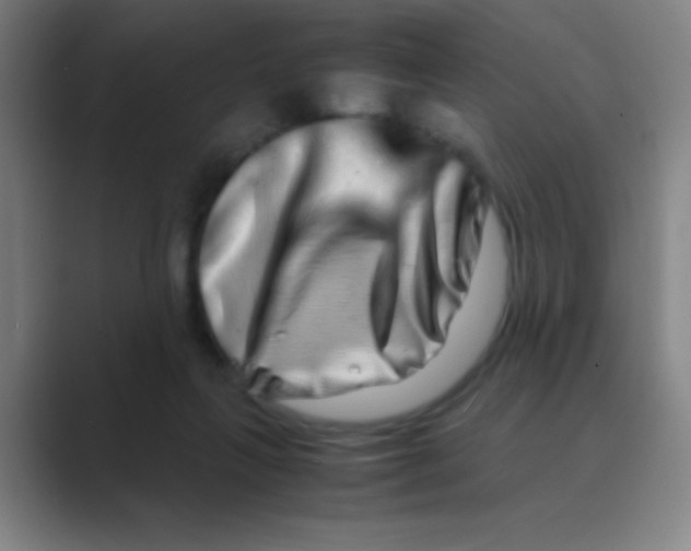 X0000088720263200706282109