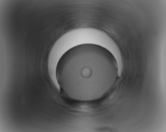 X0000088720264200706282110