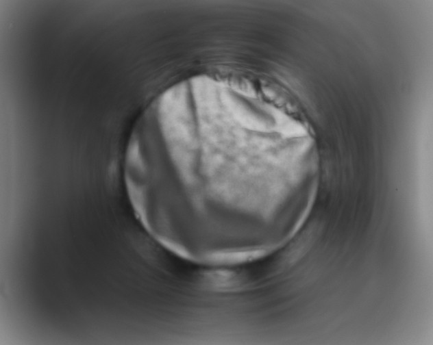 X0000088720265200706282110