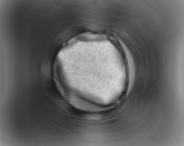 X0000088720266200706282110