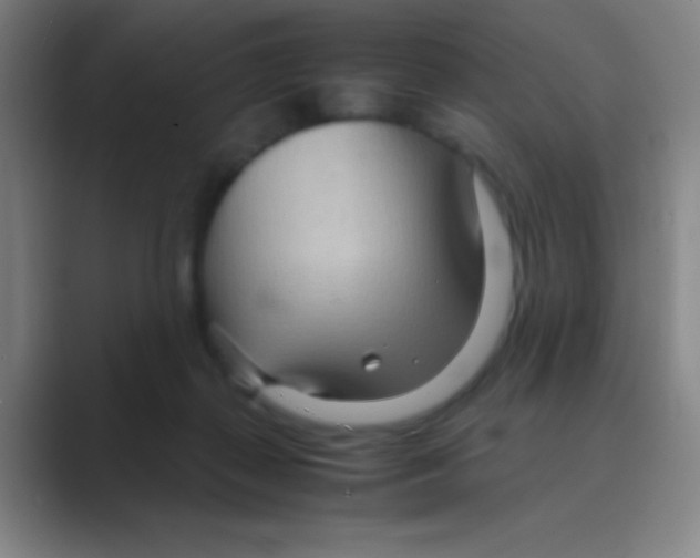 X0000088720267200706282110