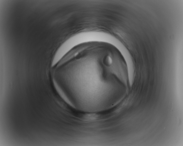 X0000088720269200706282110