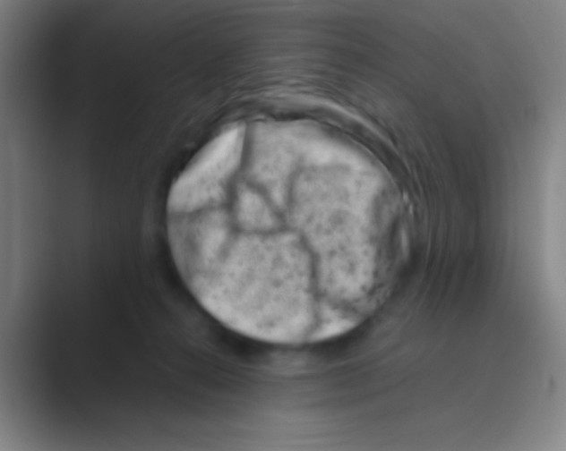 X0000088720272200706282110