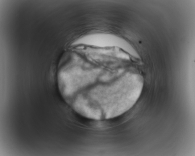 X0000088720273200706282110