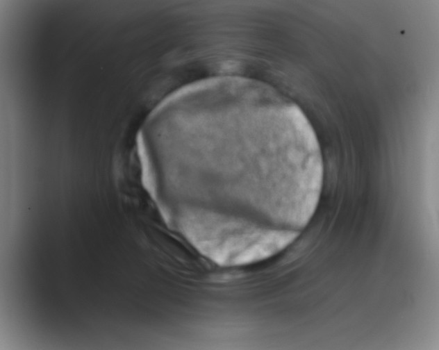 X0000088720274200706282110