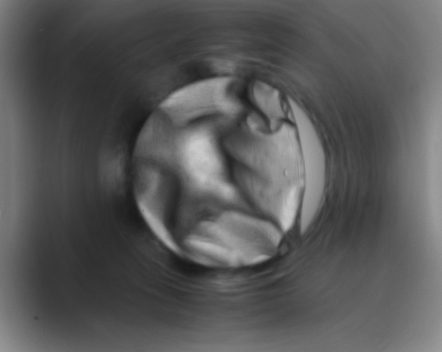 X0000088720275200706282110