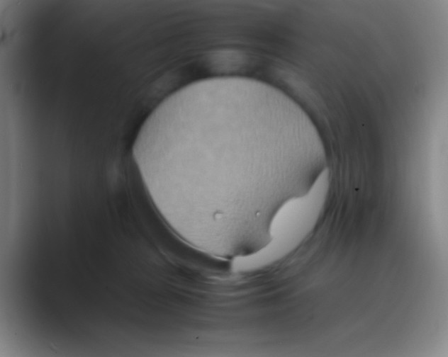 X0000088720277200706282110